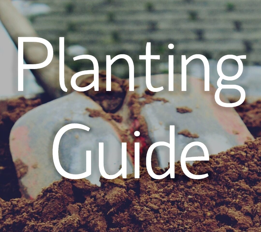 Planting Guide Button